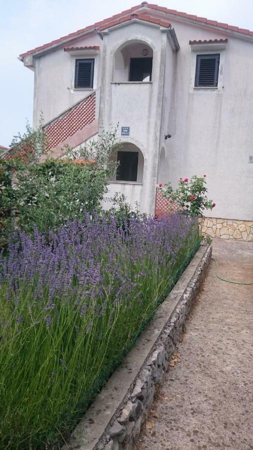 Apartmani Skrnjug Brzac Exteriér fotografie